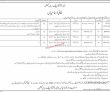 Jobs in Khyber Pakhtunkhwa Public Service Commission