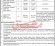 Jobs In Khyber Pakhtunkhwa Public Service Commission