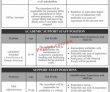 Jobs In Kinnaird College For Women