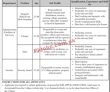 Jobs In Kinnaird College For Women