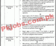 Jobs In Kohsar University Murree
