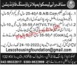 Jobs In Lesco Employees Housing Foundation