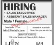 Jobs In Lion Group