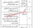 Jobs In Lums University