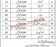 Jobs in LWMC Government of the Punjab