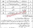 Jobs in LWMC Government of the Punjab