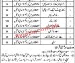 Jobs in LWMC Jobs Lahore