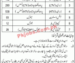 Jobs in LWMC Lahore
