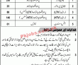 Jobs in LWMC