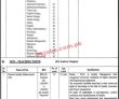 Jobs in Lahore College for Women University LCWU