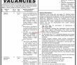 Jobs in Lahore College for Women University LCWU