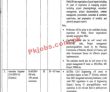 Jobs In Lahore College For Women University