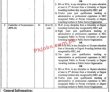 Jobs in Lahore College for Women University