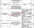 Jobs in Lahore Parking Company