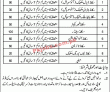 Jobs in Lahore waste Management Company