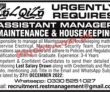 Jobs In Lal Qila
