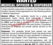 Jobs In Large Industrial Organization