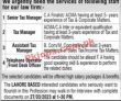 Jobs In Law Firm