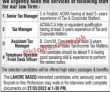 Jobs In Law Firm
