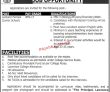 Jobs in Lawrence College