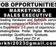 Jobs In Leading Hardware And Software Service Providing Company