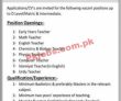 Jobs In Learninghouse School & College System