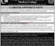 Jobs In Liaquat National Hospital & Medical College
