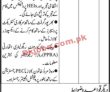 Jobs In Liaquat University Of Medical & Health Sciences