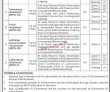 Jobs in Livestock & Dairy Development Department Khyber Pakhtunkhwa Peshawar