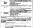 Jobs in Local Government Election and Rural Development Department