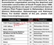 Jobs In Lodhran Pilot Project (lpp)