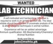 Jobs In Mehta Pvt Ltd