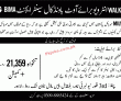 Jobs In Milvik Mobile Pakistan