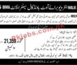 Jobs In Milvik Mobile Pakistan