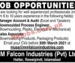 Jobs in MM Falcon Industries Pvt Ltd