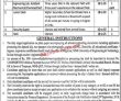 Jobs In Mns University Of Engineering And Technology Multan