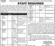 Jobs in MSDP Municipal Services Delivery Program P & D