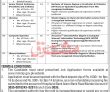 Jobs In Mti Mardan