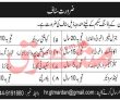 Jobs in Mardan Housing Scheme