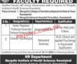 Jobs In Margalla Institute Of Health Sciences