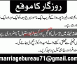 Jobs in Marriage Bureau