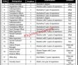 Jobs in Medical Emergency Resilience Foundation MERF