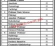 Jobs In Medical Teaching Institution Ayub Medical College