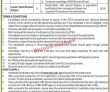 Jobs In Medical Teaching Institutions Appellate Tribunal Peshawar