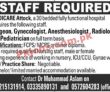 Jobs In Medicare Attock