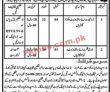 Jobs In Metro Politian Corporation Sahiwal