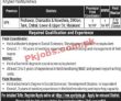 Jobs In Micro Merger Pvt Ltd