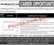 Jobs in MicroMerger Pvt Ltd