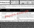 Jobs in MicroMerger Pvt Ltd