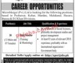 Jobs in MicroMerger Pvt Ltd